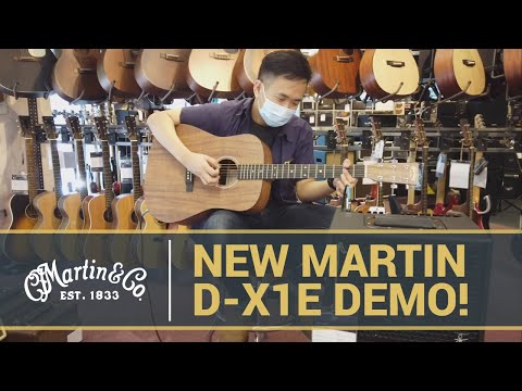 New Martin D-X1E Demo!