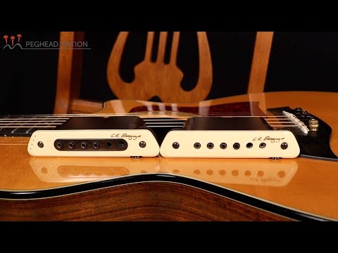 L.R. Baggs M1 Active and M80 Acoustic Guitar Pickup Demo from Peghead Nation