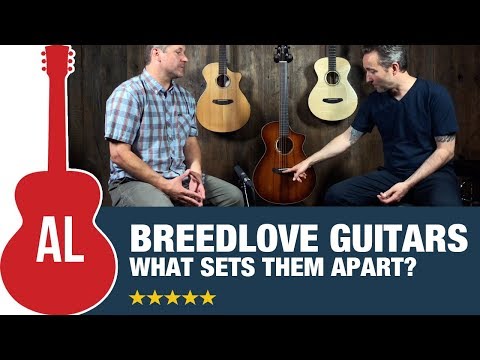 Breedlove Guitars - What Makes Them Special?