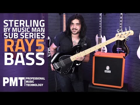 Sterling By Music Man SUB Ray5 5-String Bass - The Best Cheap 5 String Bass That Doesn&#039;t Suck