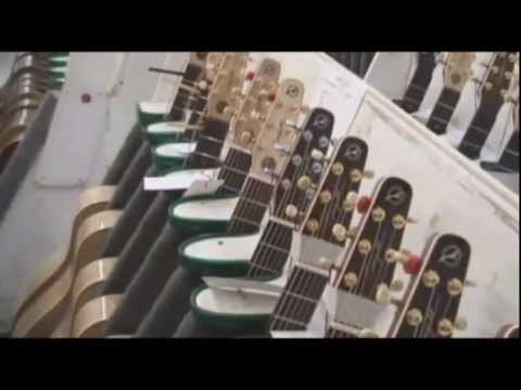 Seagull Guitars Overview