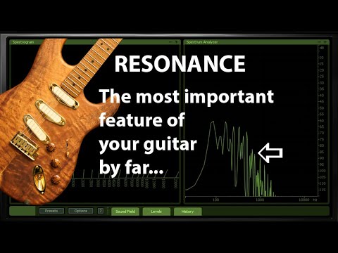 Guitar resonance | What you NEED to know | Importance of wood types | Review