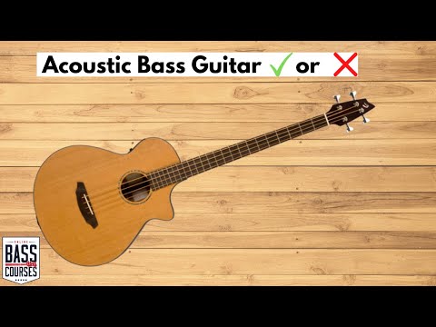 Acoustic Bass Guitar: What Does It Sound Like &amp; When Would You Use One?