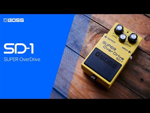 BOSS SD-1 SUPER OverDrive - INTRO