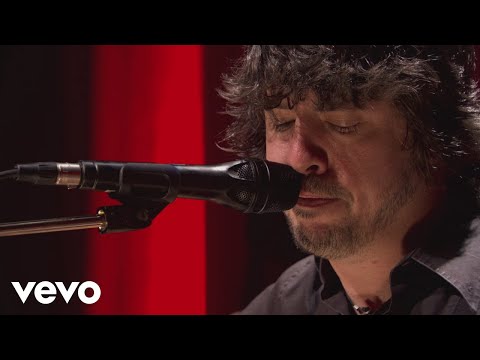 Foo Fighters - Skin And Bones (from Skin And Bones, Live in Hollywood, 2006)