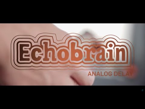 Echobrain Analog Delay - Official Product Video
