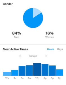 Instagram audience insight