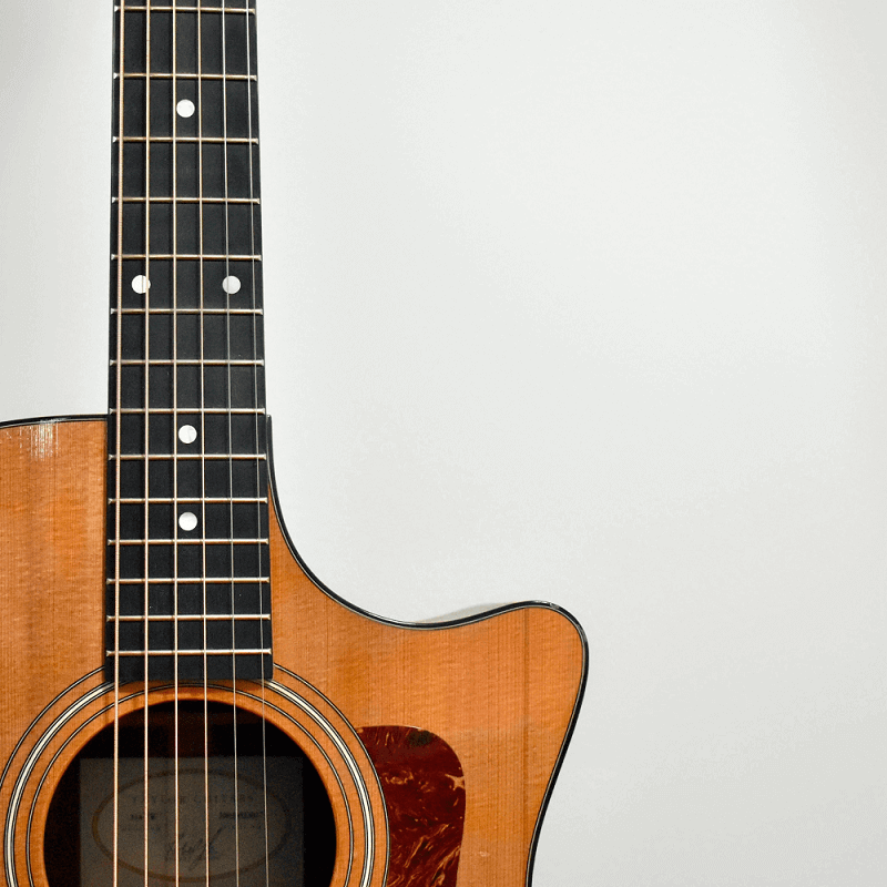 Do Fretboard Woods Make Any Difference In Tone?
