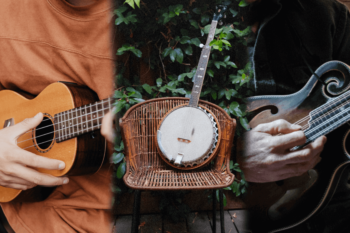 10+ Guitar-Like Musical Instruments That Are Easy To Learn