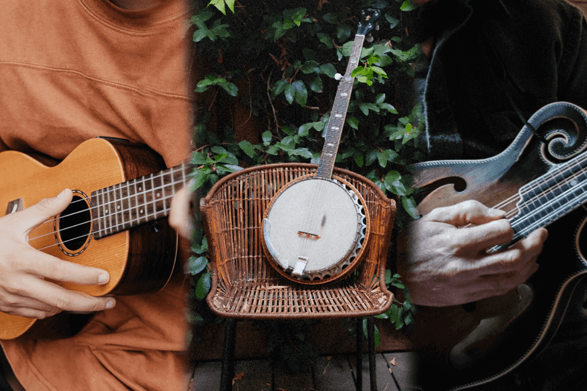 Guitar-Like Musical Instruments