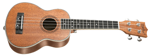 ukelele guitar example