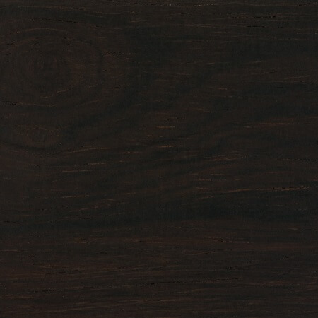 Brazilian rosewood dalbergia nigra