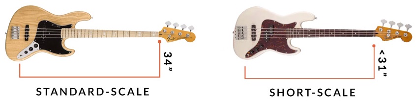 standard vs short scale bass