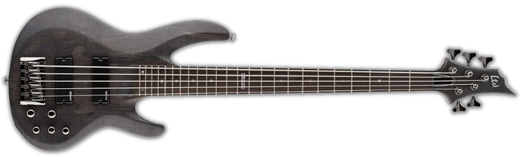 ESP LTD B-205SM Spalted Maple Bass Guitar on a white background