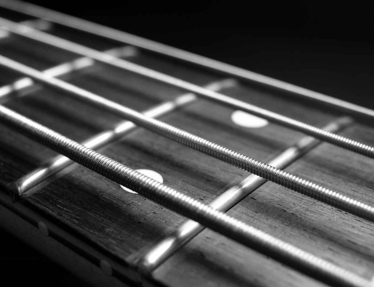 25 Best Bass Guitar Strings Of All Time Guitar Based