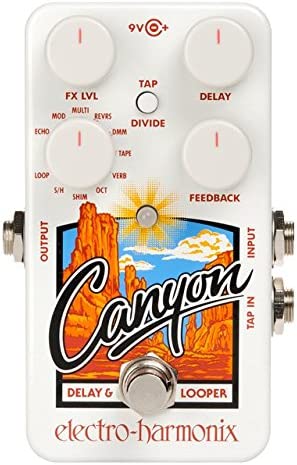 Electro-Harmonix Canyon Delay & Looper Pedal  on a white background
