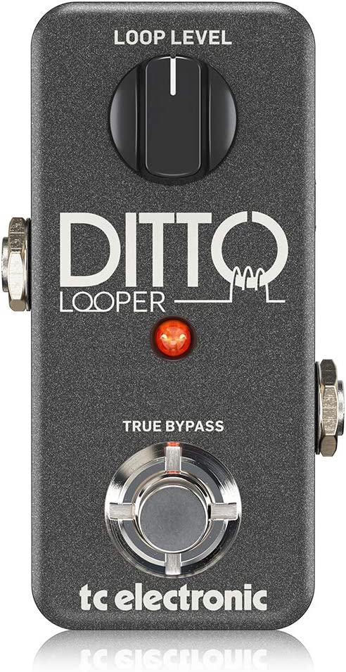 TC Electronic DITTO Looper Pedal  on a white background
