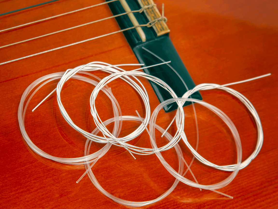 Are Nylon Strings Better For Beginners? (2024)