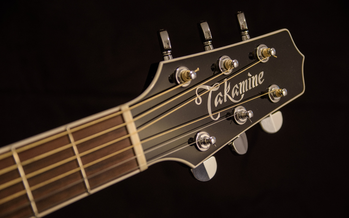 17 Best Takamine Guitars (2024) Of All Time