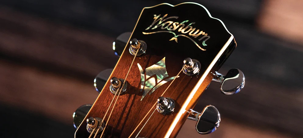 17 Best Washburn Guitars (2024) Of All Time