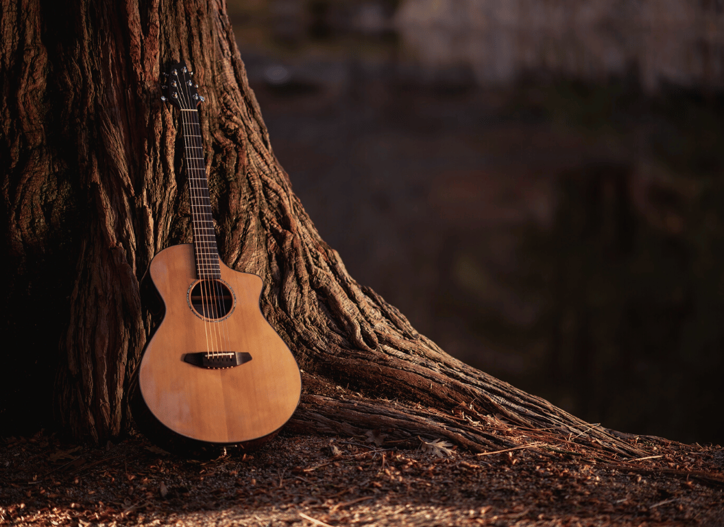 guitar wood types