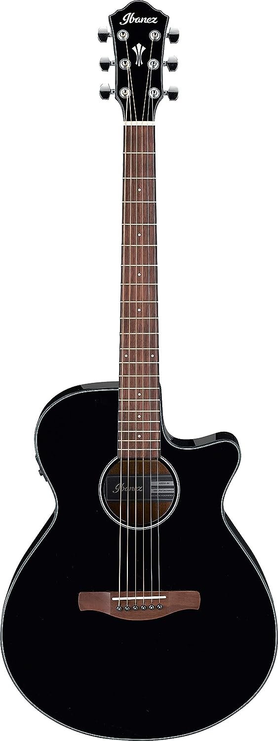 Ibanez AEG50 Acoustic-Electric Guitar on a white background