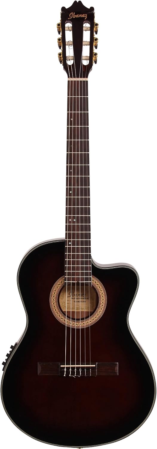Ibanez GA35TCEDVS Acoustic Guitar on a white background