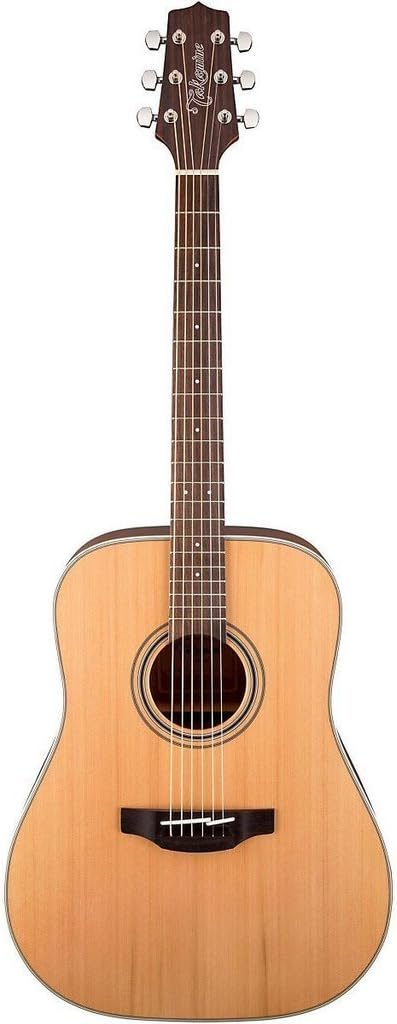 Takamine GD20 Acoustic Guitar on a white background