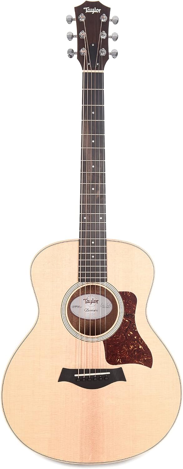 Taylor GS Mini Series Acoustic Guitar on a white background