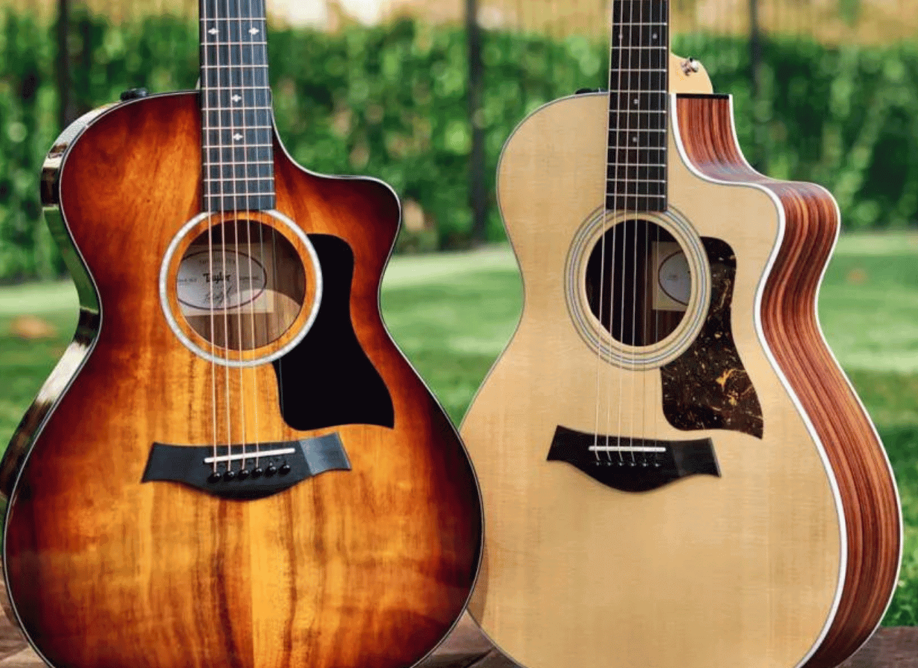 17 Best Taylor Guitars Of All Time (Updated 2024)
