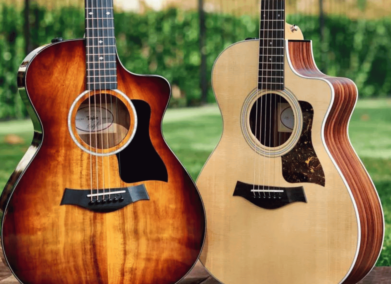 best-taylor-guitars