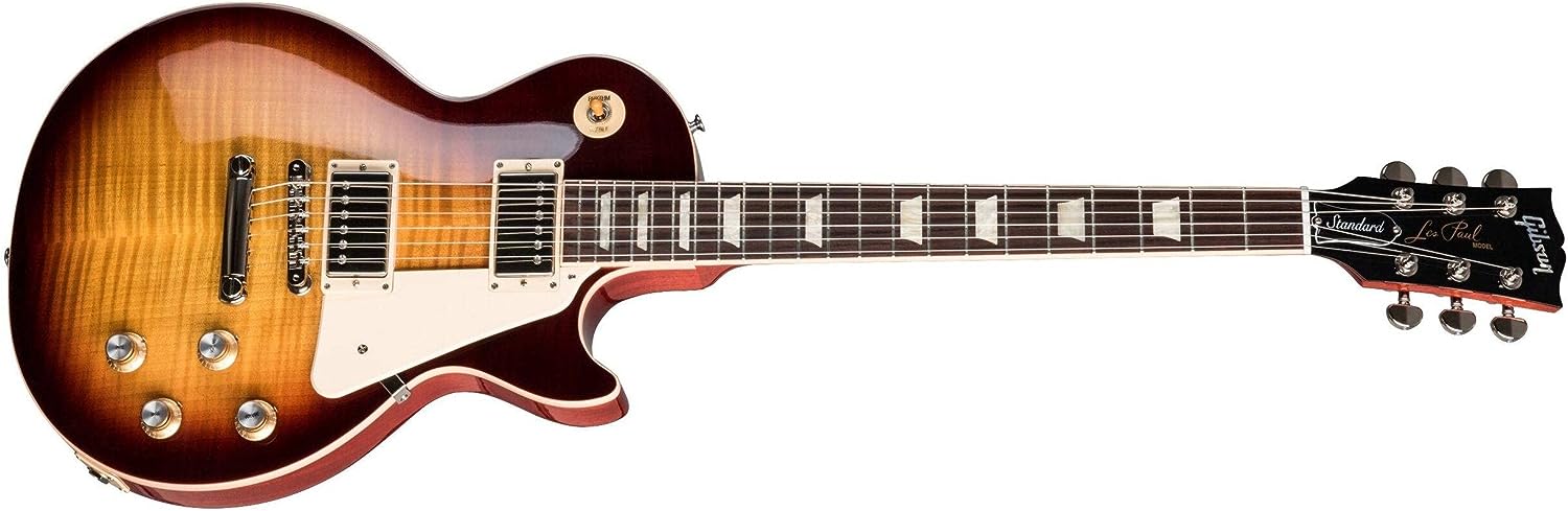 Gibson Les Paul Standard '60s Electric Guitar on a white background