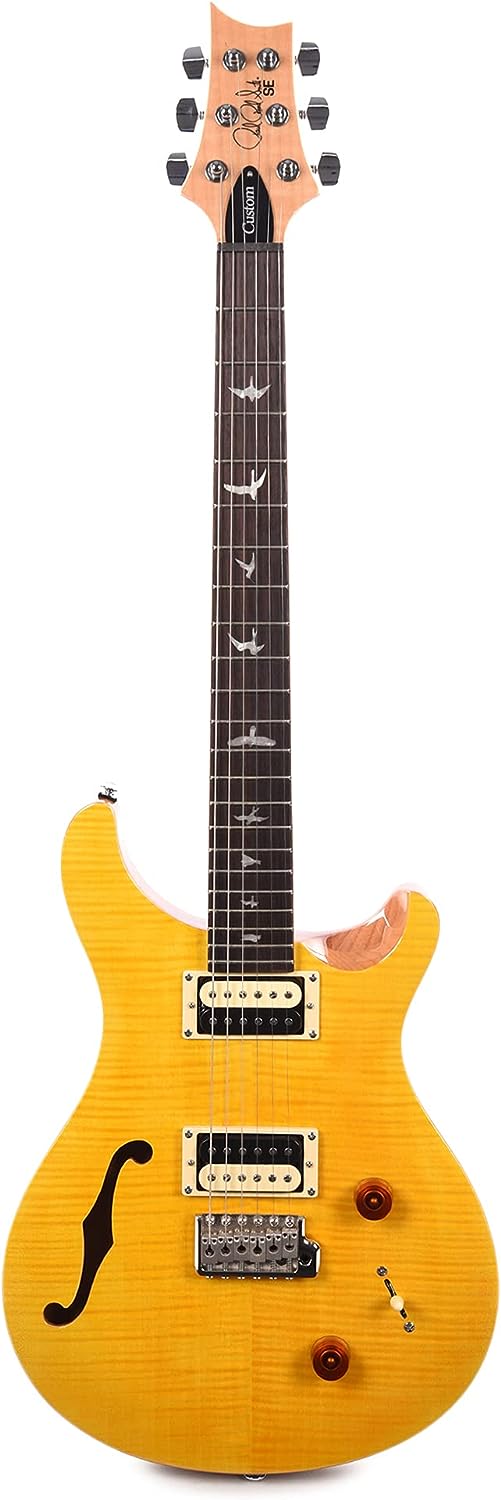 PRS SE Custom 22 Electric Guitar on a white background