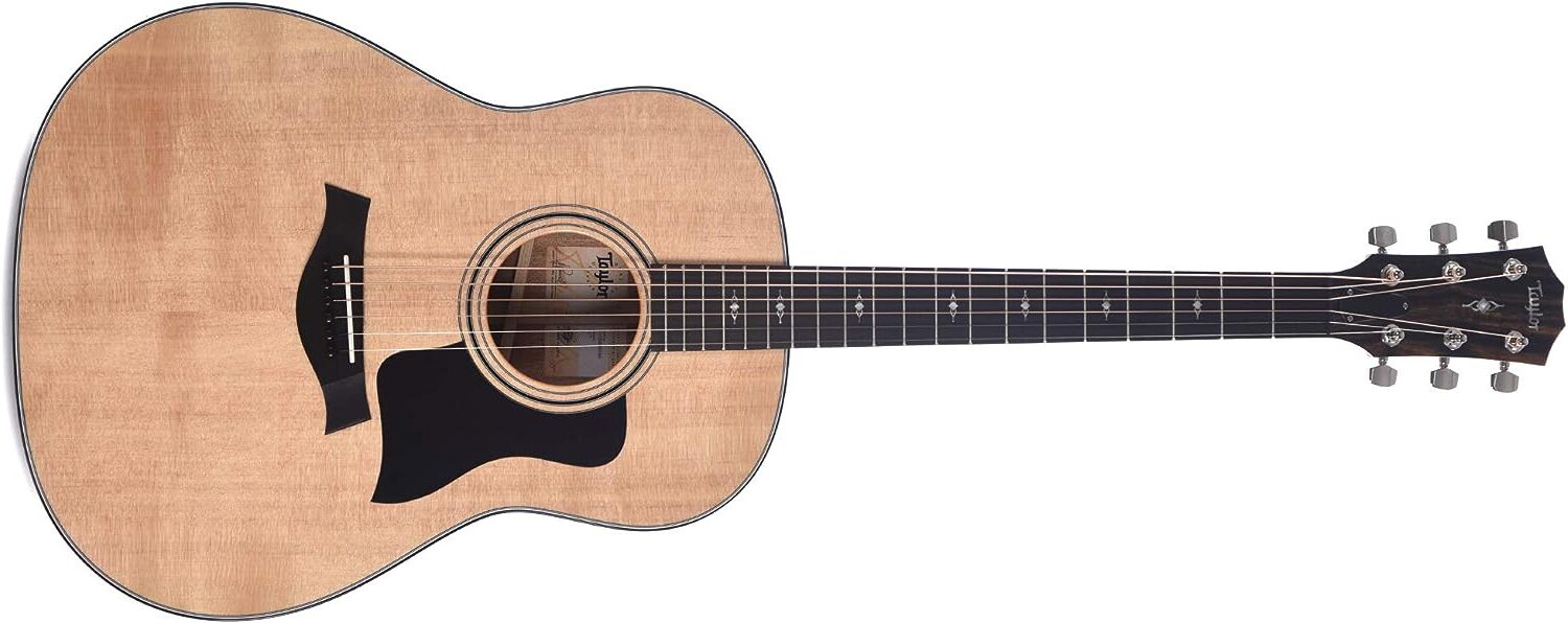 Taylor 317 Grand Pacific Acoustic Guitar on a white background