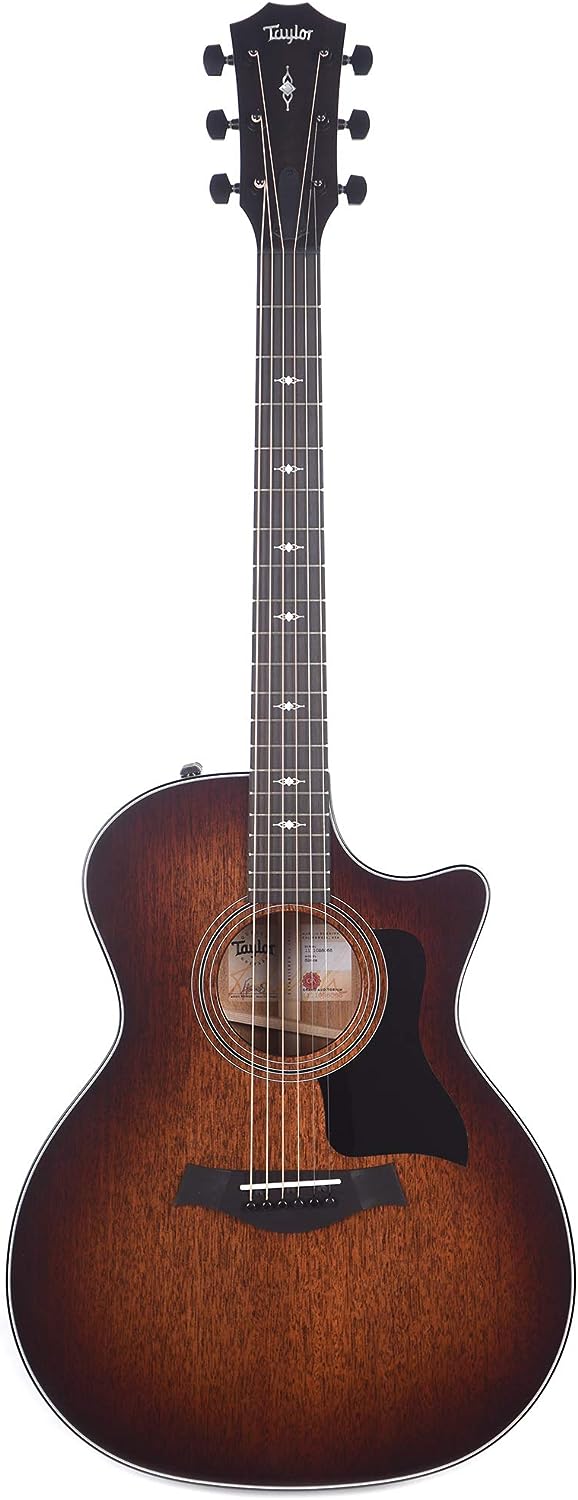 Taylor 324ce Acoustic-Electric Guitar on a white background