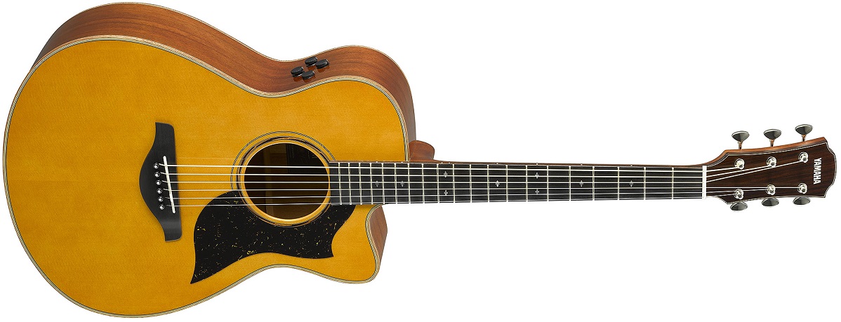 Yamaha AC5M ARE Concert Cutaway Acoustic-Electric Guitar on a white background