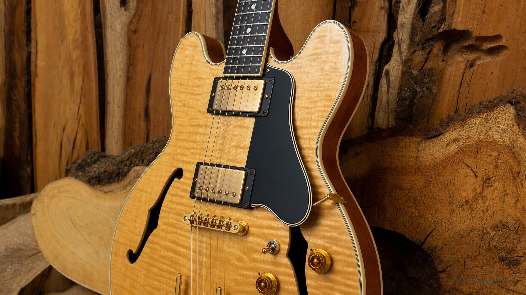 Maple's Contribution to Guitar Clarity
