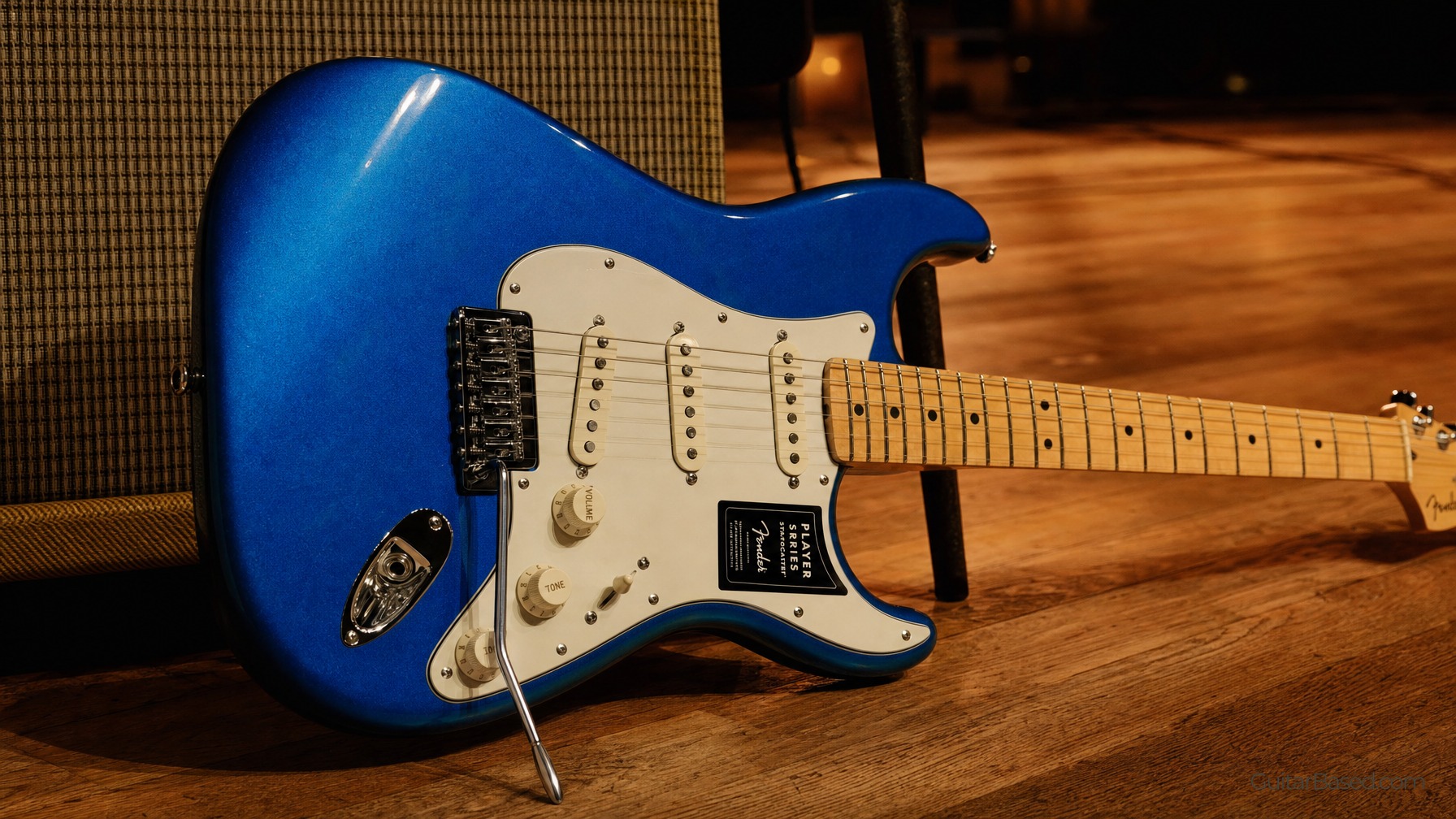 Fender Player Series: Professional Sound